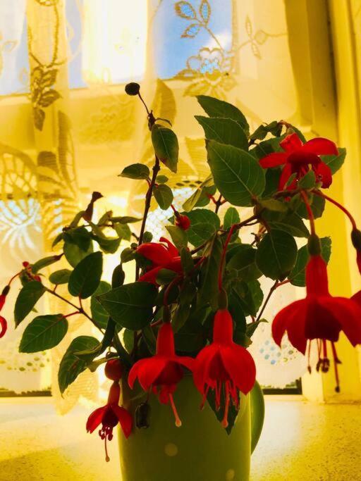 Carpe Diem Rooms Flat Near Zone 1 Londra Esterno foto