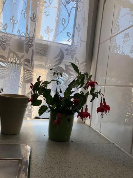Carpe Diem Rooms Flat Near Zone 1 Londra Esterno foto